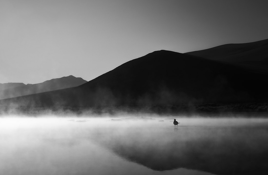 001Alejandro Gutiérrez Pérez