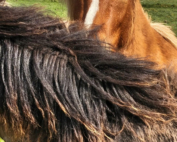 480c31cf-1eb7-48d3-ac98-4c905cf51cfa-